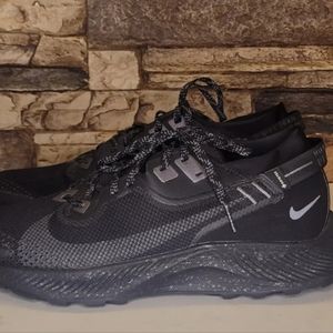 Mens nike trail pegasus 2